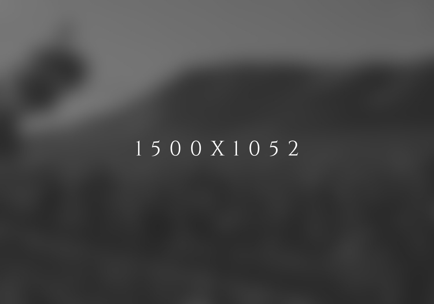 wide-dummy-image-1500x1052-min